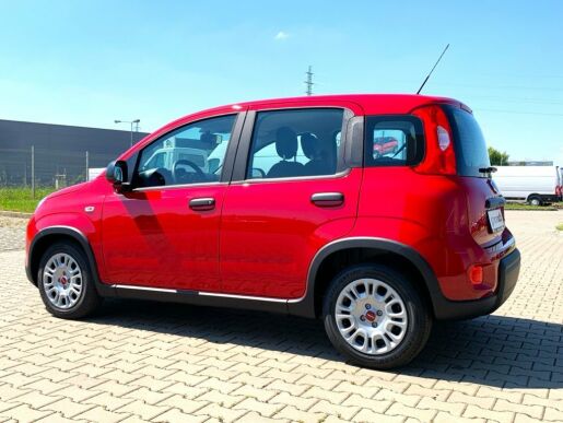 Fiat Panda 1,0 Firefly 70k