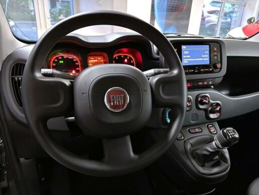 Fiat Panda 1.0 BSG Firefly 70k *789*