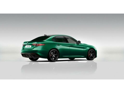 Alfa Romeo Giulia 2.2 JTDm 210k AT8 ZF Q4 4x4 Tr