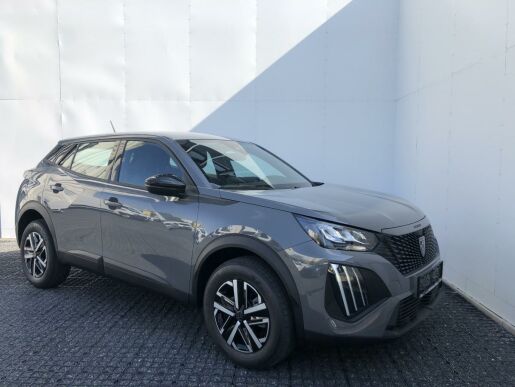 Peugeot 2008 ACTIVE 1.2 PT 100 MAN6