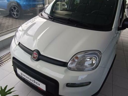 Fiat Panda 1.0 BSG 70k Cold