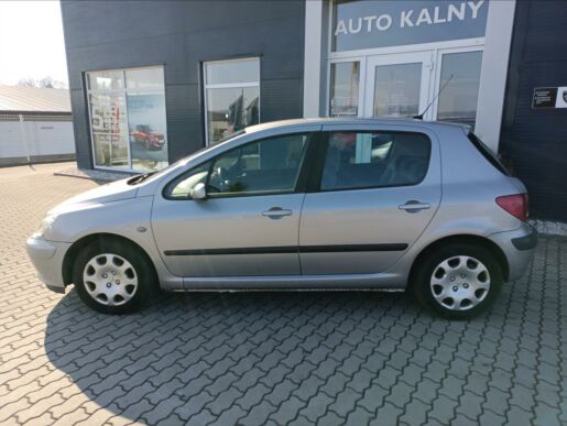 Peugeot 307 XT 1,6 16V 110k