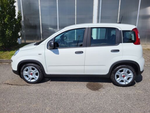 Fiat Panda Panda 1.0 FIREFLY 70 k 51 kW  6 Manuální