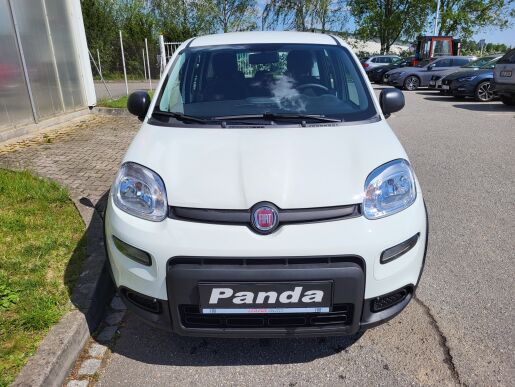 Fiat Panda Panda 1.0 FIREFLY 70 k 51 kW  6 Manuální