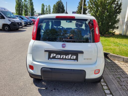 Fiat Panda Panda 1.0 FIREFLY 70 k 51 kW  6 Manuální