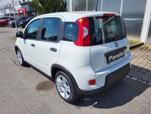 Fiat Panda Panda 1.0 FIREFLY 70 k 51 kW  6 Manuální