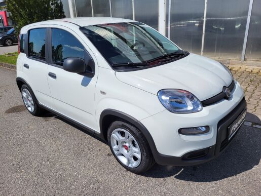 Fiat Panda Panda 1.0 FIREFLY 70 k 51 kW  6 Manuální